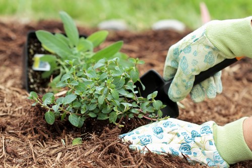 Gardener assessing a typical Blackwall terrace garden during a free quote visit