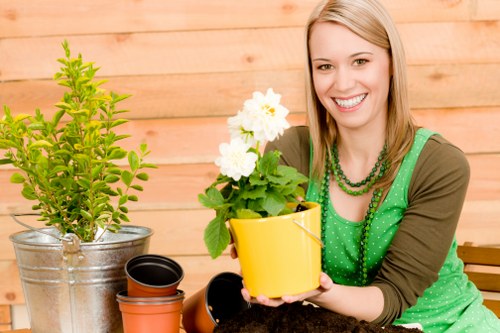 Overgrown garden clearance in urban property with waste to remove