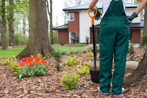 Crew performing safe lawn mowing at a residential property