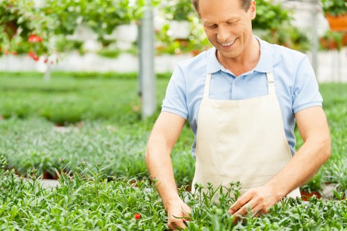 Pristine commercial lawn in Blackwall