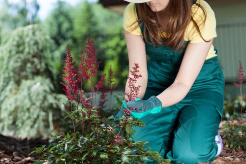 Healthy green grass maintained by experts