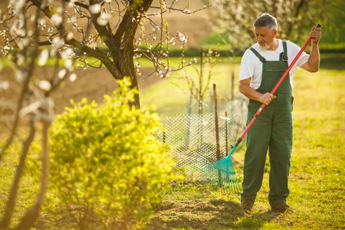 Eco-friendly lawn care practices